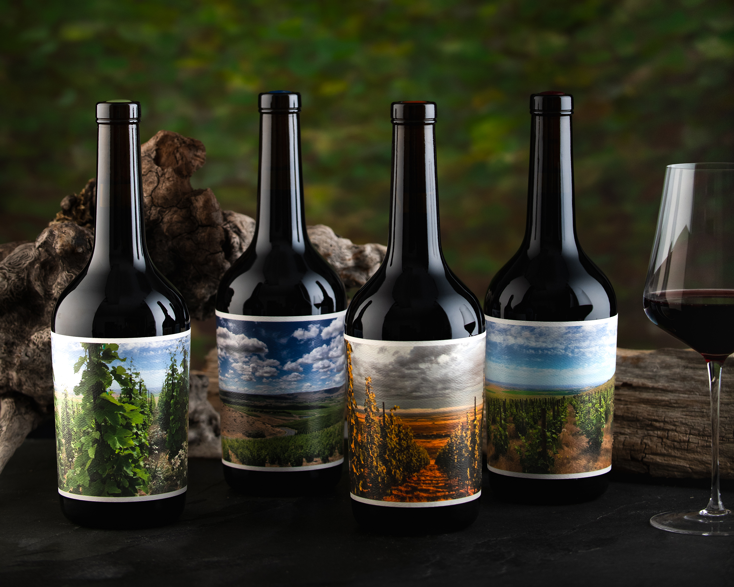 WEATHEREYE-LR-2449-Reds_Group_Wine_Horizontal