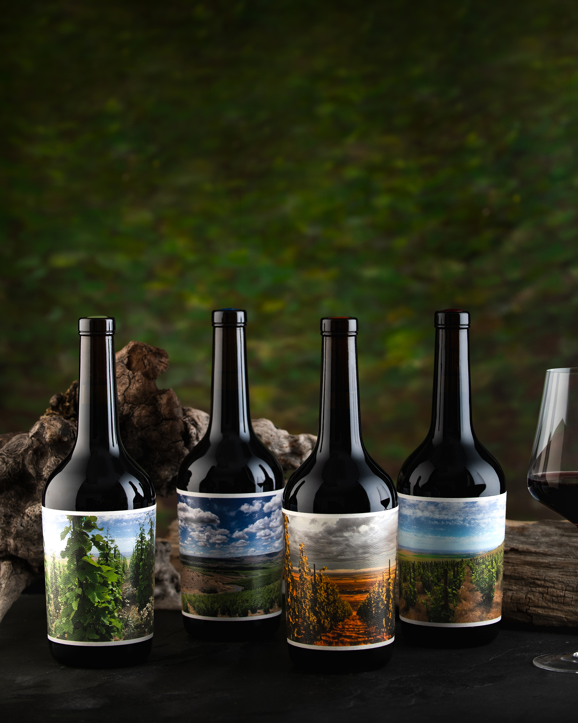 WEATHEREYE-LR-2449-Reds_Group_Wine_Vertical
