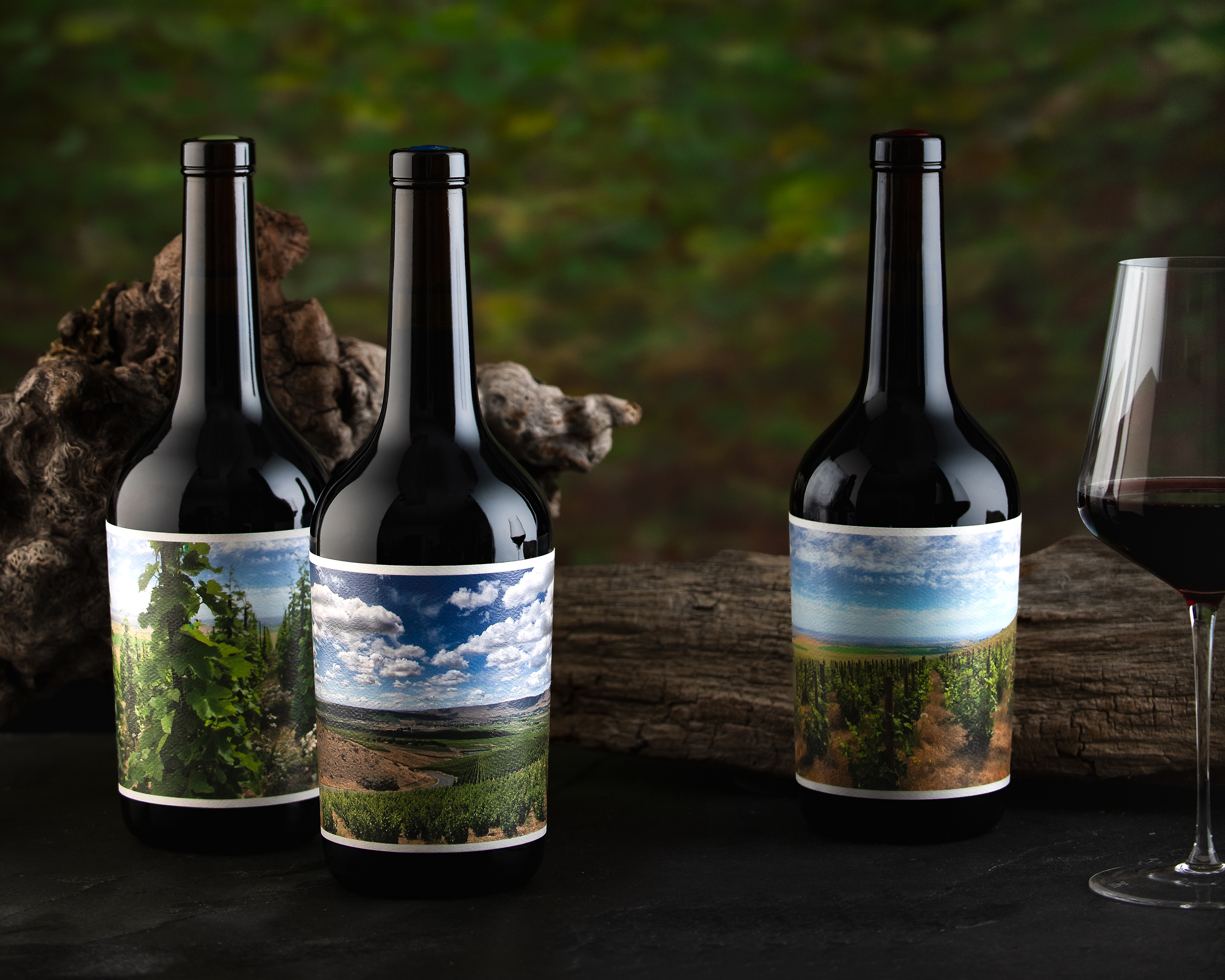 WEATHEREYE-LR-2463-RhoneReds_Wine_Horizontal