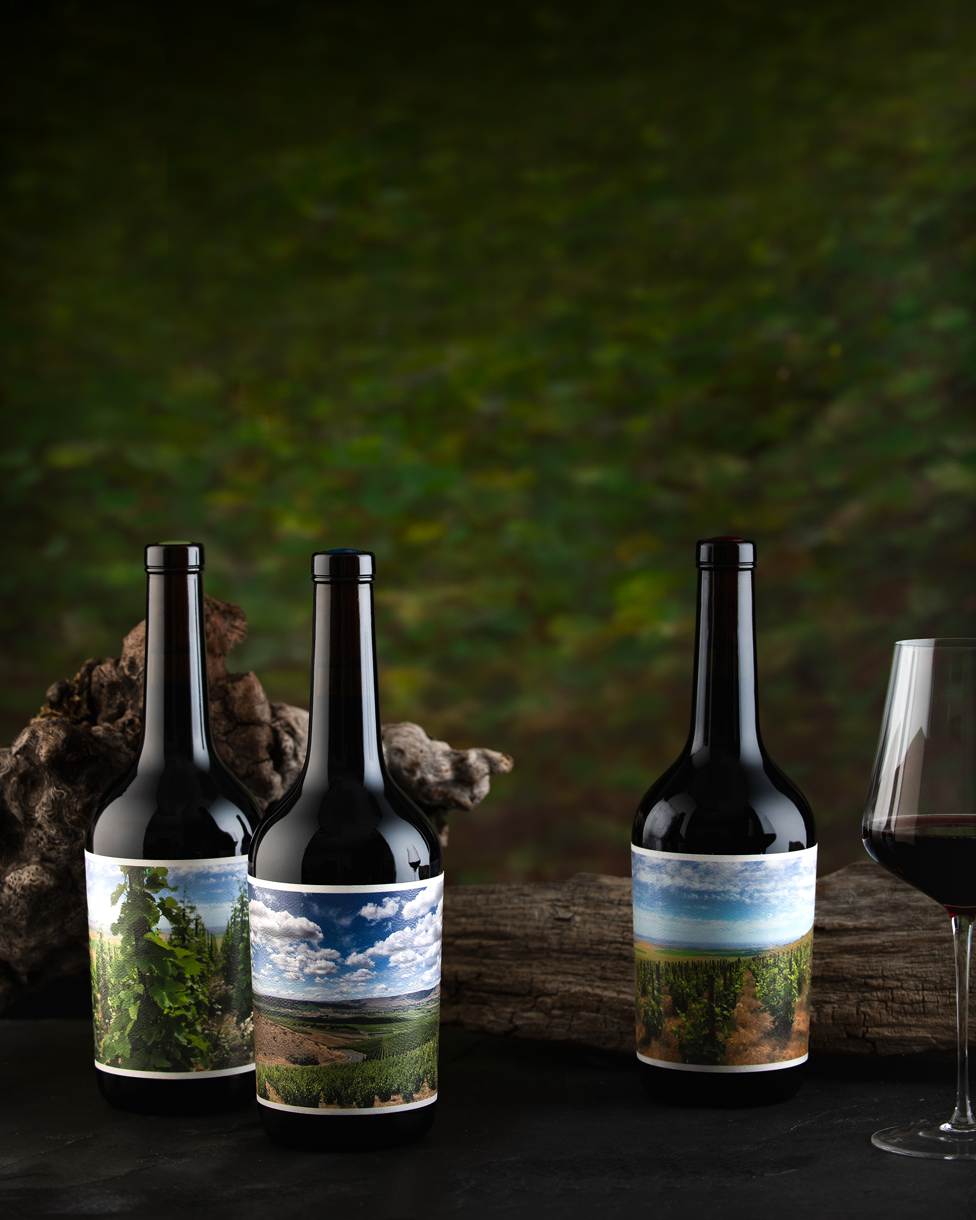 WEATHEREYE-LR-2463-RhoneReds_Wine_Vertical